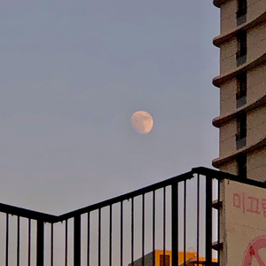 久草国产在线观看
